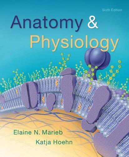 Anatomy Physiology 6Th Edition