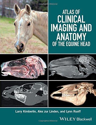Atlas Of Clinical Imaging And Anatomy Of The Equine Head