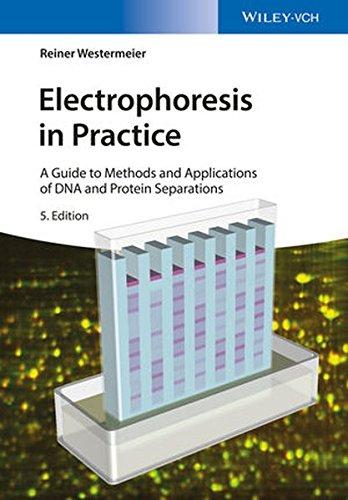 Electrophoresis In Practice A Guide To Methods And Applications Of Dna And Protein Separations