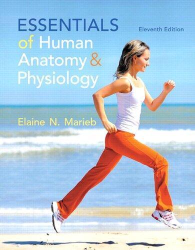 Essentials Of Human Anatomy Physiology 11Th Edition