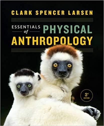 Essentials Of Physical Anthropology 3Rd Edition