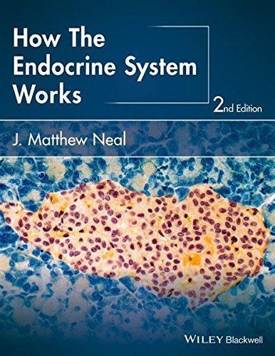How The Endocrine System Works 2Nd Edition
