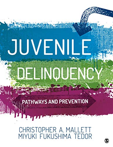 Juvenile Delinquency: Pathways and Prevention – 1st Edition