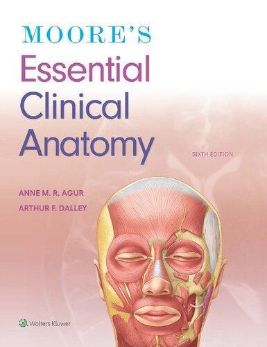 Moores Essential Clinical Anatomy 6Th Edition