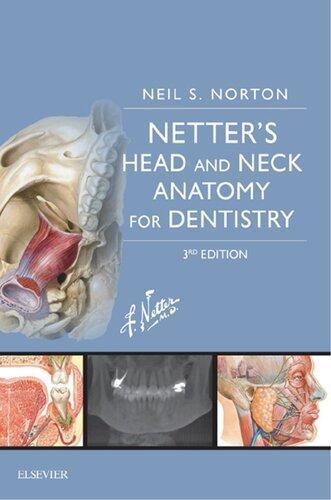 Netters Head And Neck Anatomy For Dentistry 3Rd Edition