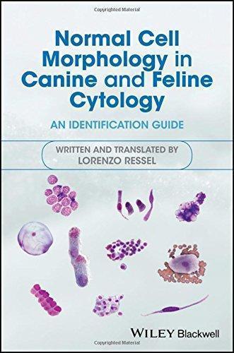 Normal Cell Morphology In Canine And Feline Cytology An Identification Guide