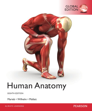 Human anatomy – Mallatt, Jon; Marieb, Elaine Nicpon; Wilhelm, Patricia Brady – 9780134215037