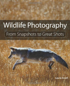 Wildlife Photography: From Snapshots to Great Shots – Laurie Excell